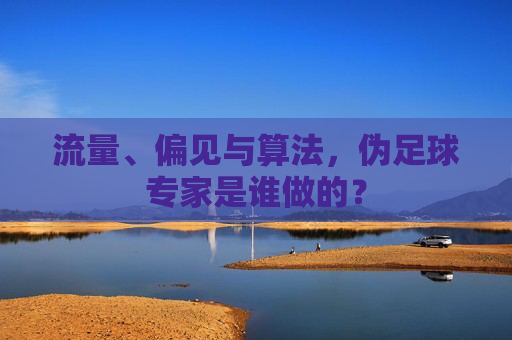 流量、偏见与算法,伪足球专家是谁做的?