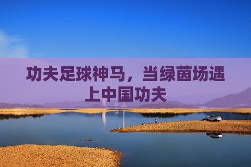 功夫足球神马,当绿茵场遇上中国功夫