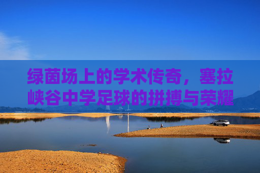 绿茵场上的学术传奇，塞拉峡谷中学足球的拼搏与荣耀