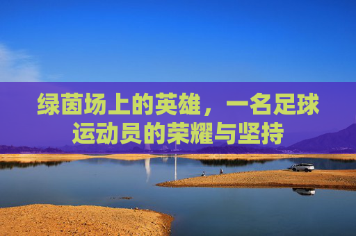 绿茵场上的英雄,一名足球运动员的荣耀与坚持