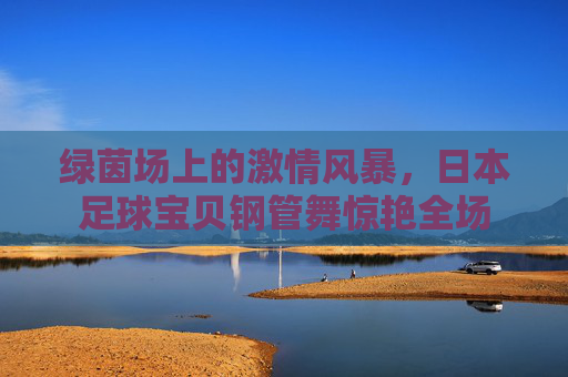 绿茵场上的激情风暴,日本足球宝贝钢管舞惊艳全场