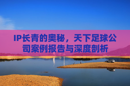 IP长青的奥秘,天下足球公司案例报告与深度剖析