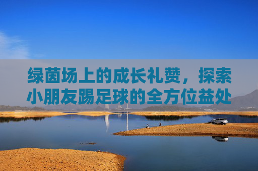 绿茵场上的成长礼赞,探索小朋友踢足球的全方位益处