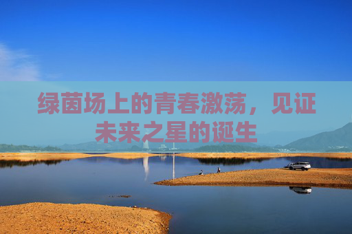 绿茵场上的青春激荡,见证未来之星的诞生