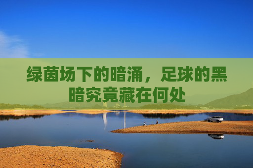 绿茵场下的暗涌,足球的黑暗究竟藏在何处