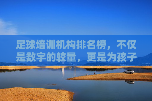 足球培训机构排名榜,不仅是数字的较量,更是为孩子选对的起点