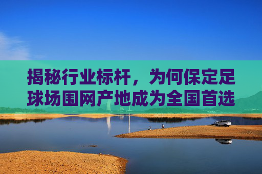 揭秘行业标杆,为何保定足球场围网产地成为全国首选?