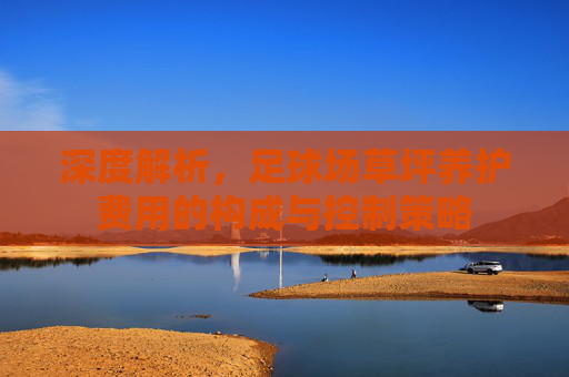 深度解析,足球场草坪养护费用的构成与控制策略