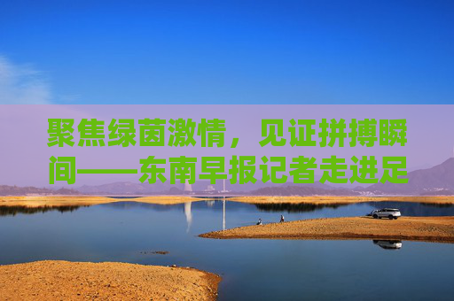 聚焦绿茵激情,见证拼搏瞬间——东南早报记者走进足球联赛采访现场