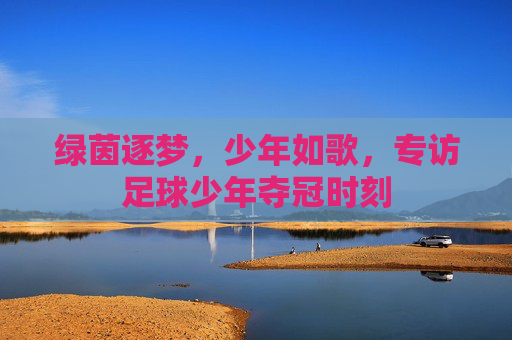 绿茵逐梦,少年如歌,专访足球少年夺冠时刻