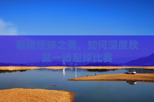看懂足球之美,如何深度欣赏一场足球比赛