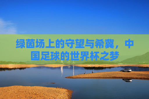 绿茵场上的守望与希冀,中国足球的世界杯之梦