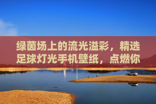 绿茵场上的流光溢彩,精选足球灯光手机壁纸,点燃你的热爱