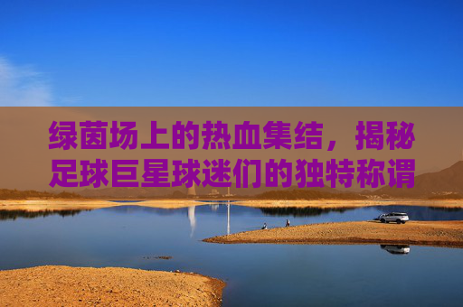 绿茵场上的热血集结，揭秘足球巨星球迷们的独特称谓