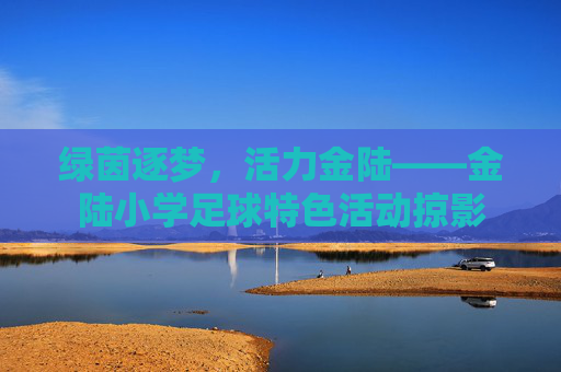 绿茵逐梦,活力金陆——金陆小学足球特色活动掠影