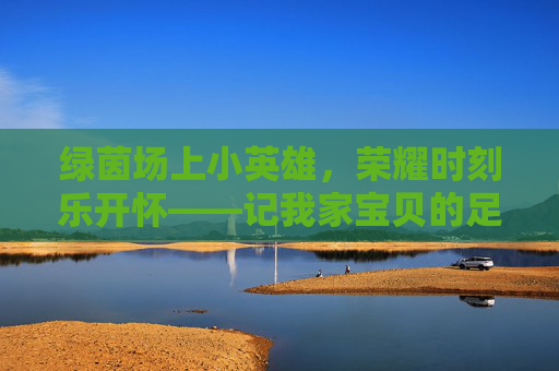 绿茵场上小英雄,荣耀时刻乐开怀——记我家宝贝的足球高光时刻