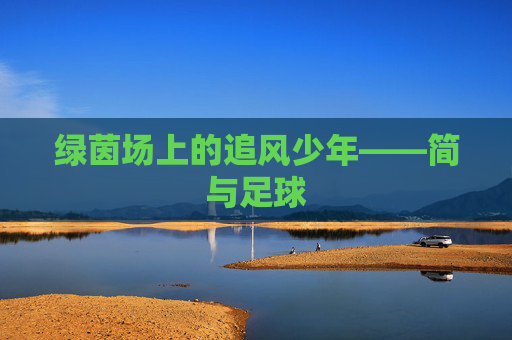 绿茵场上的追风少年——简与足球