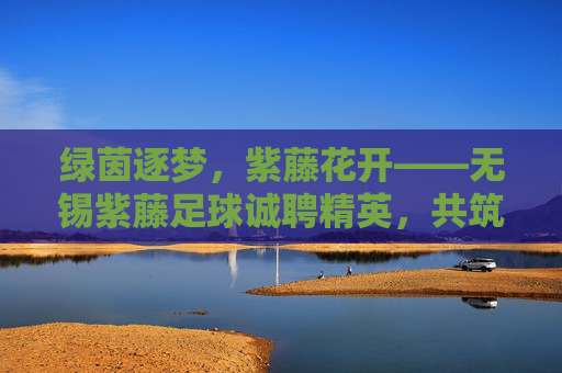 绿茵逐梦,紫藤花开——无锡紫藤足球诚聘精英,共筑足球梦想