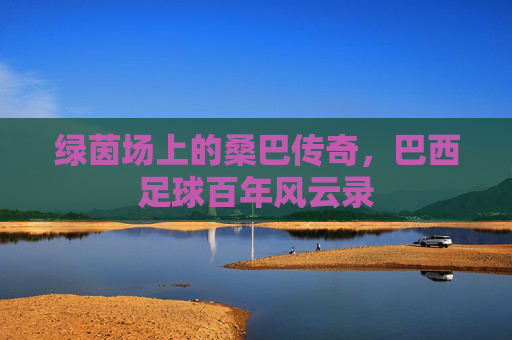 绿茵场上的桑巴传奇，巴西足球百年风云录