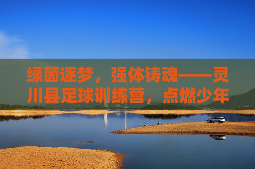 绿茵逐梦,强体铸魂——灵川县足球训练营,点燃少年的足球激情