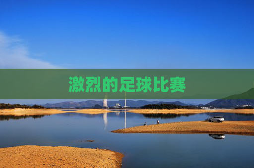 激烈的足球比赛