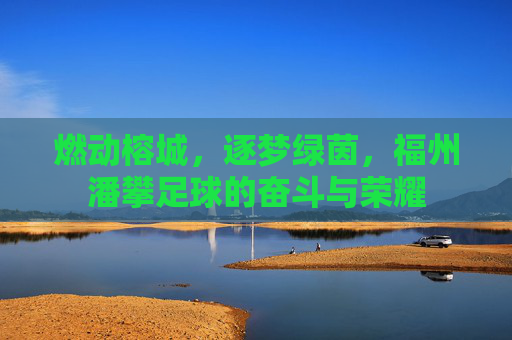 燃动榕城,逐梦绿茵,福州潘攀足球的奋斗与荣耀