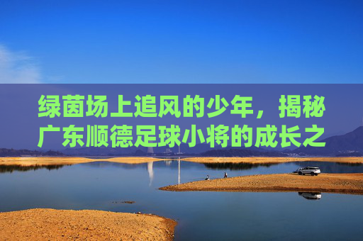 绿茵场上追风的少年,揭秘广东顺德足球小将的成长之路