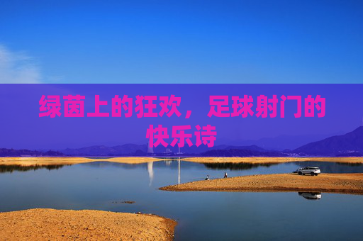 绿茵上的狂欢,足球射门的快乐诗
