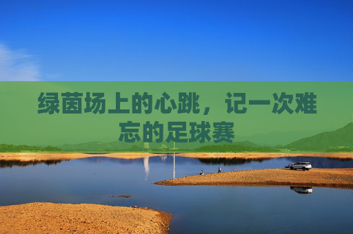 绿茵场上的心跳,记一次难忘的足球赛