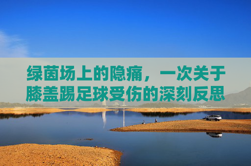 绿茵场上的隐痛,一次关于膝盖踢足球受伤的深刻反思与警示