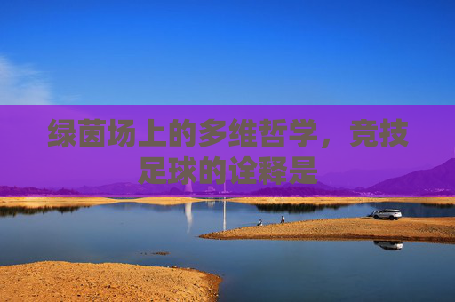 绿茵场上的多维哲学,竞技足球的诠释是