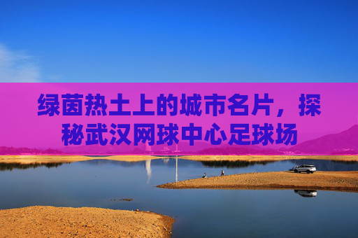 绿茵热土上的城市名片,探秘武汉网球中心足球场