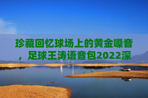 珍藏回忆球场上的黄金嗓音,足球王涛语音包2022深度解析
