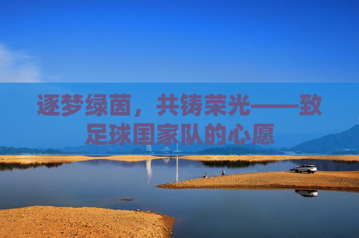 逐梦绿茵,共铸荣光——致足球国家队的心愿