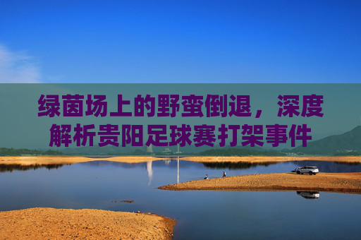 绿茵场上的野蛮倒退,深度解析贵阳足球赛打架事件