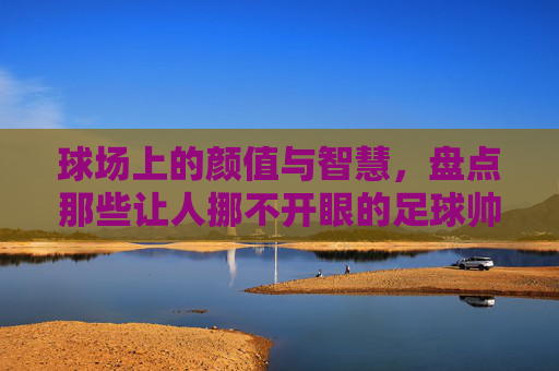 球场上的颜值与智慧,盘点那些让人挪不开眼的足球帅的主教练