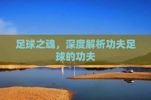 足球之魂,深度解析功夫足球的功夫