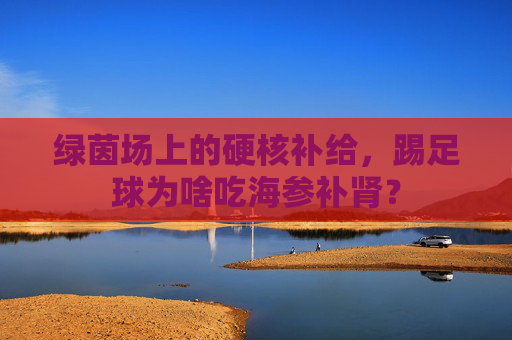 绿茵场上的硬核补给,踢足球为啥吃海参补肾?