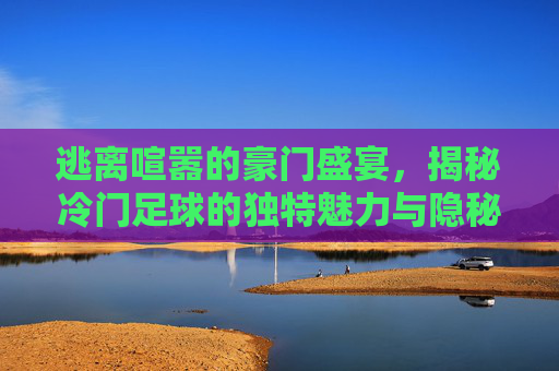 逃离喧嚣的豪门盛宴,揭秘冷门足球的独特魅力与隐秘红利