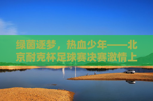 绿茵逐梦，热血少年——北京耐克杯足球赛决赛激情上演