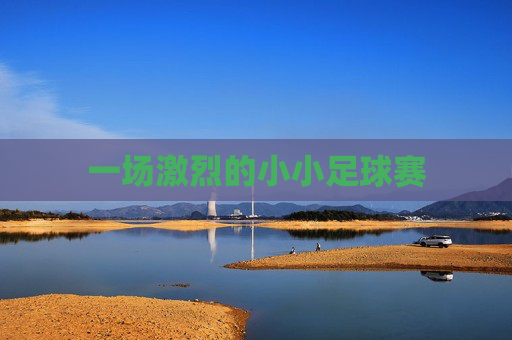 一场激烈的小小足球赛