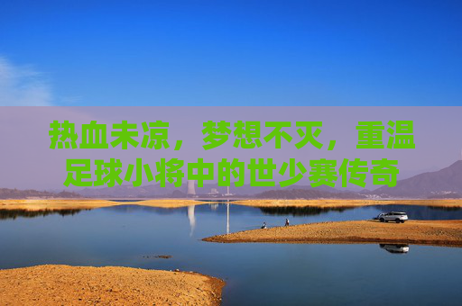 热血未凉，梦想不灭，重温足球小将中的世少赛传奇