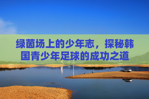 绿茵场上的少年志,探秘韩国青少年足球的成功之道
