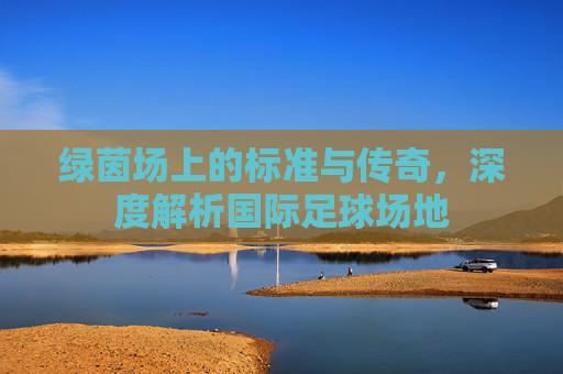绿茵场上的标准与传奇,深度解析国际足球场地