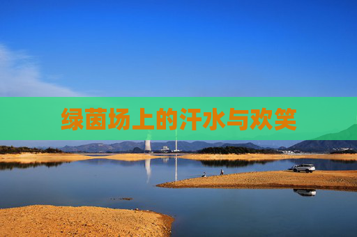 绿茵场上的汗水与欢笑