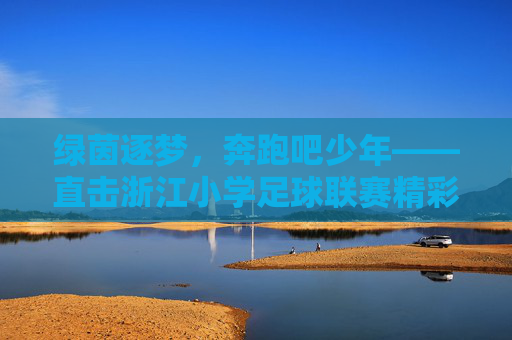绿茵逐梦,奔跑吧少年——直击浙江小学足球联赛精彩现场