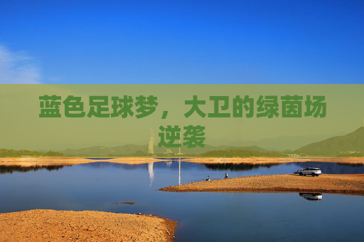 蓝色足球梦，大卫的绿茵场逆袭
