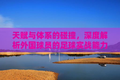 天赋与体系的碰撞,深度解析外国球员的足球实战能力