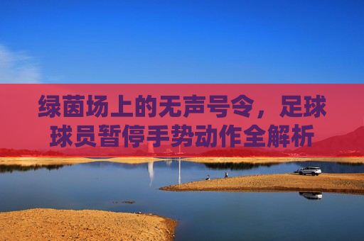 绿茵场上的无声号令,足球球员暂停手势动作全解析