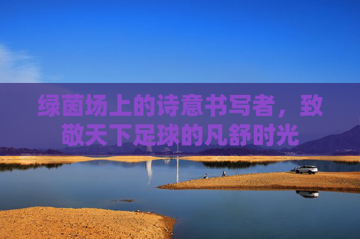 绿茵场上的诗意书写者,致敬天下足球的凡舒时光